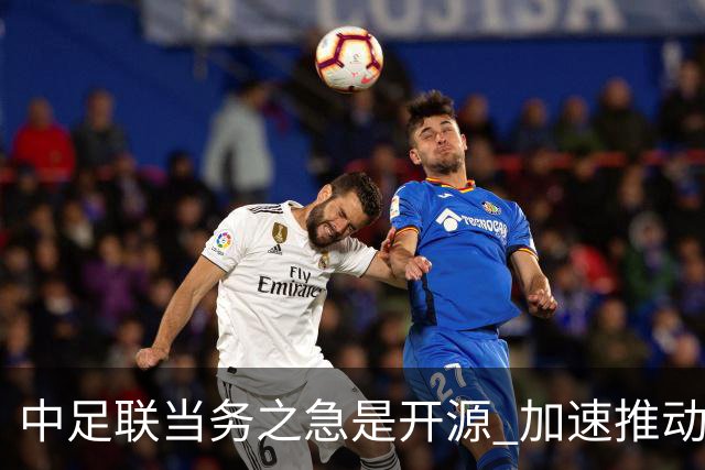 中足联当务之急是开源 加速推动中国足球职业化